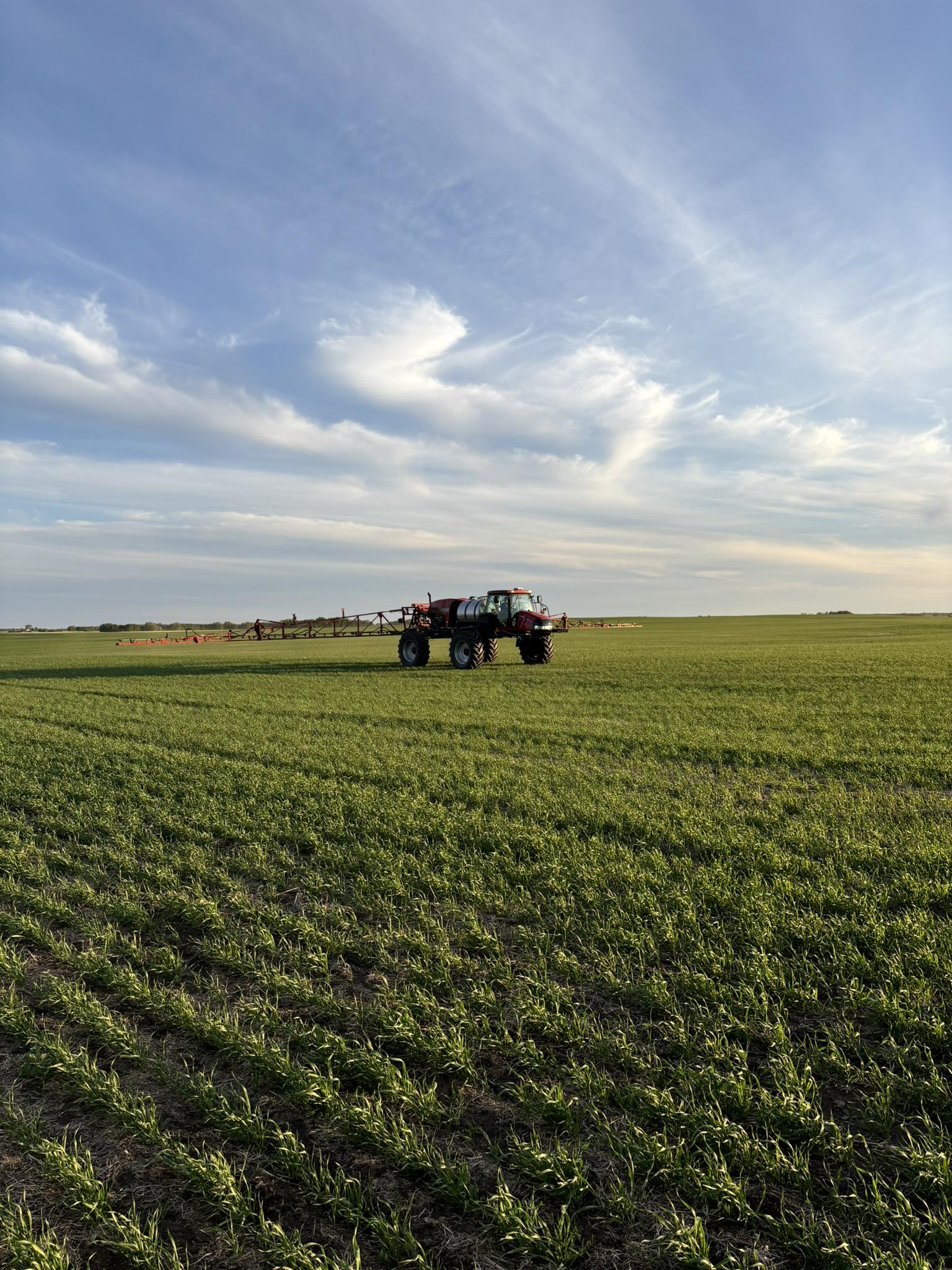 Sprayer in green field