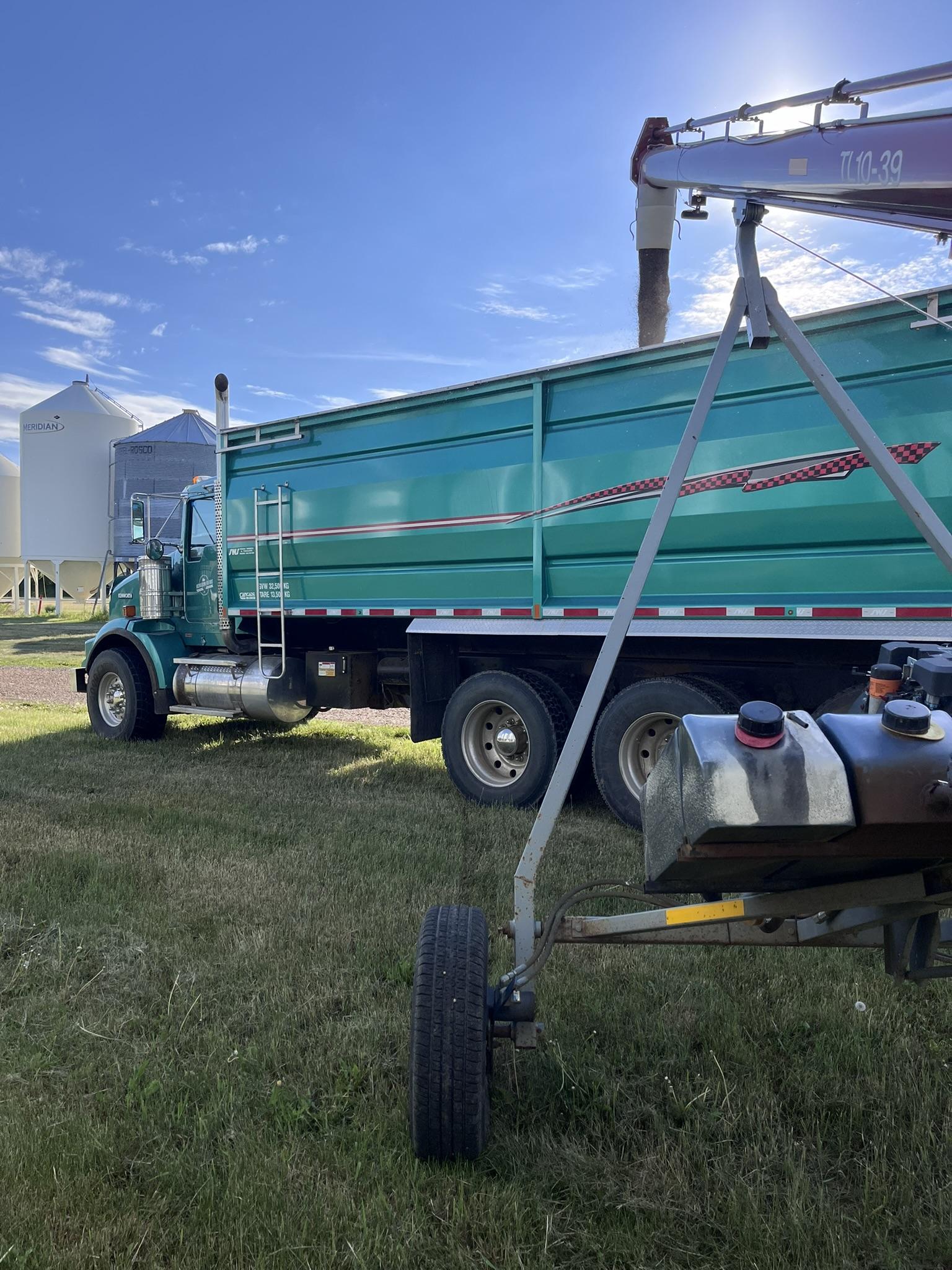 Grain truck being loaded