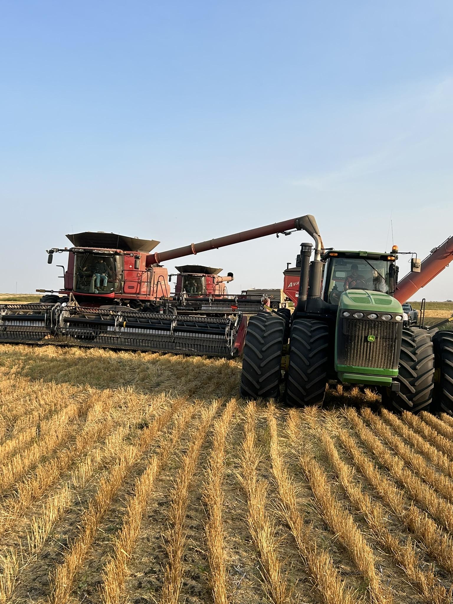 Two combines harvesting at sunset