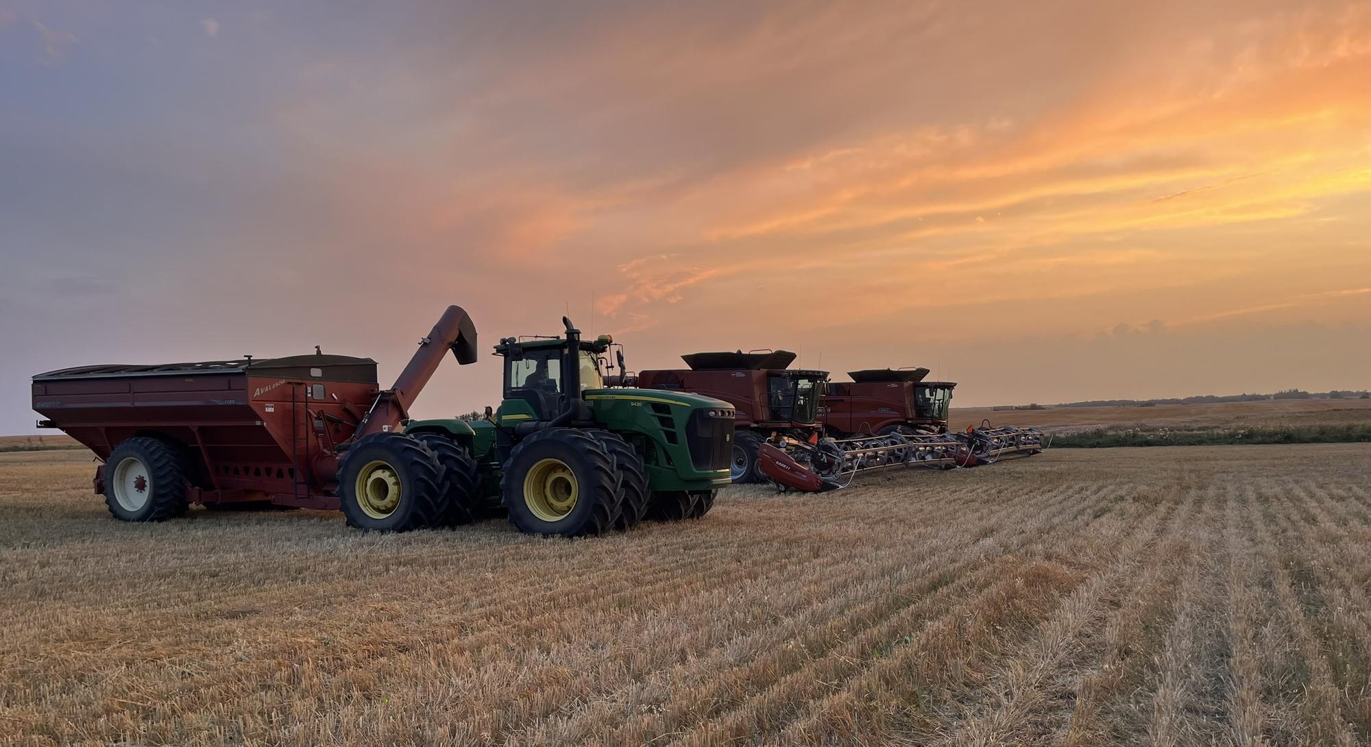 McMahon Farms harvest at sunset