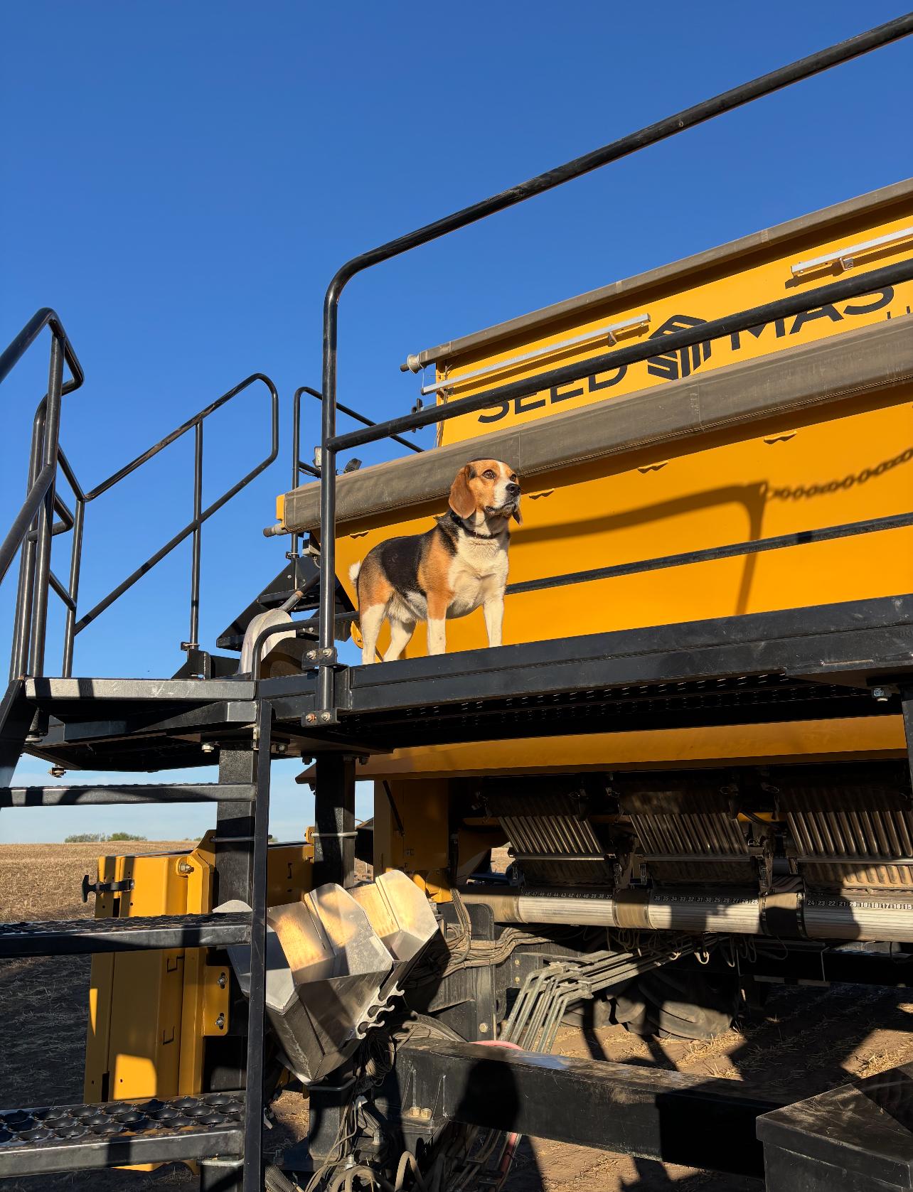 Family group photo at the yard