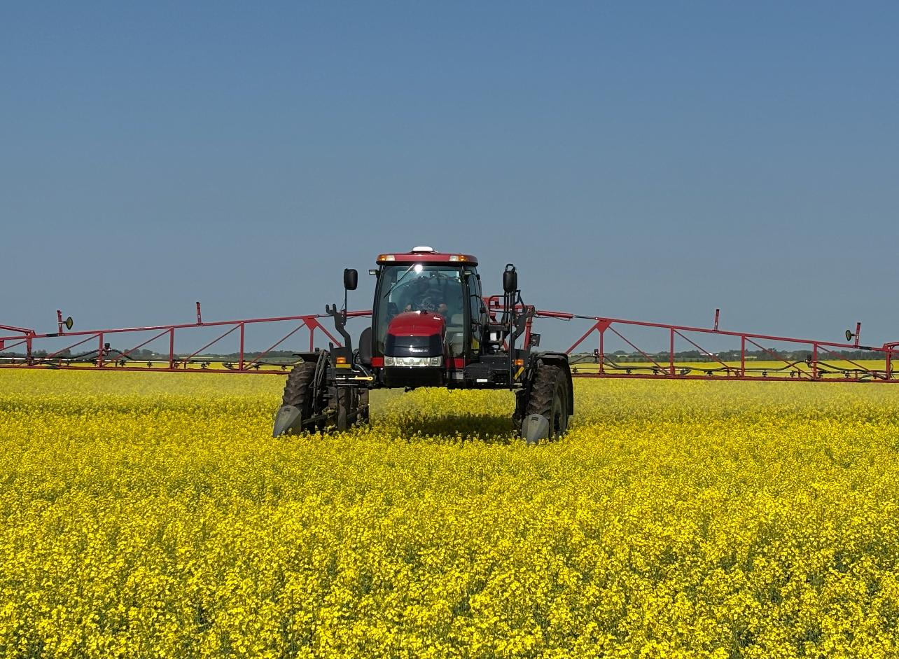 Dog on grain bag in field